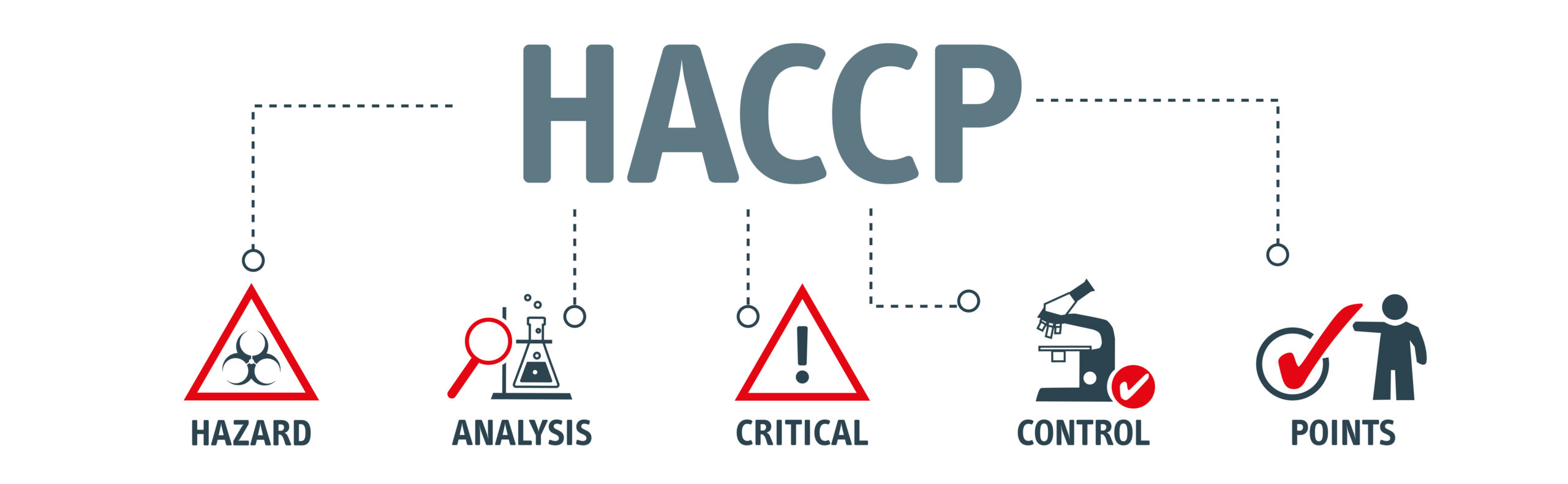 certification haccp : comment l'obtenir