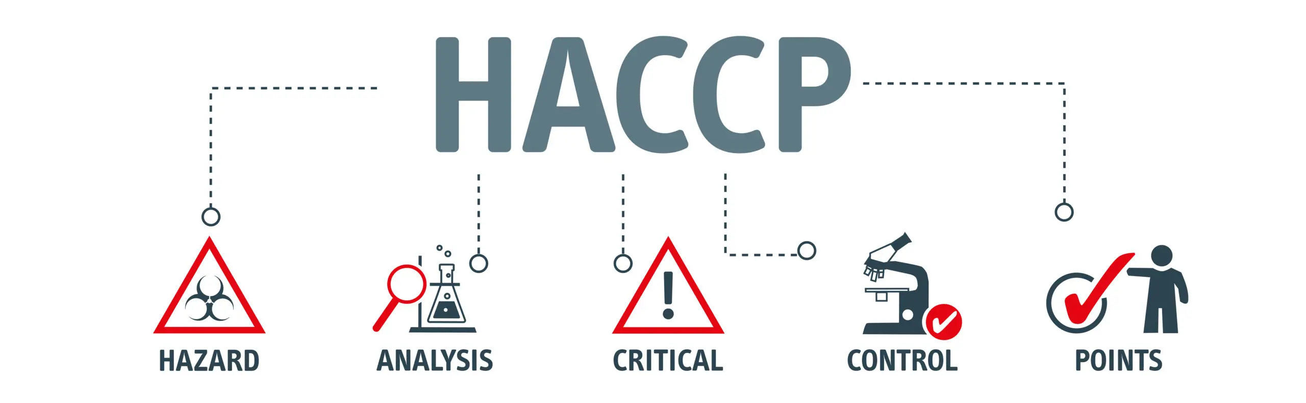 certification haccp : comment l'obtenir