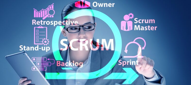 role du product owner