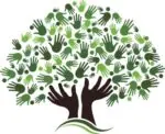 Avis CNFCE EHPAD La Pommeraie et Foyer de vie Jean Vanier