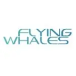Avis CNFCE Flying Whales