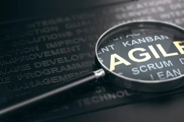 management agile