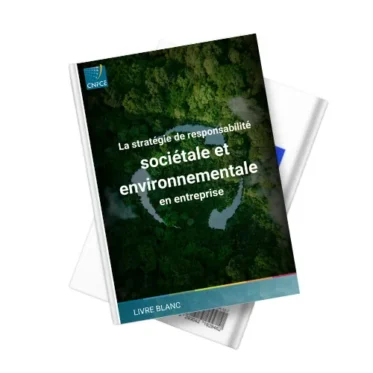 Livre blanc RSE