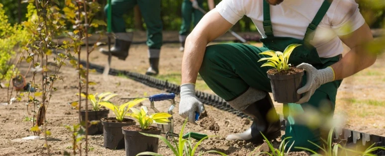 Formation Gestes et postures pour agent d'entretien d'espaces verts/jardinier