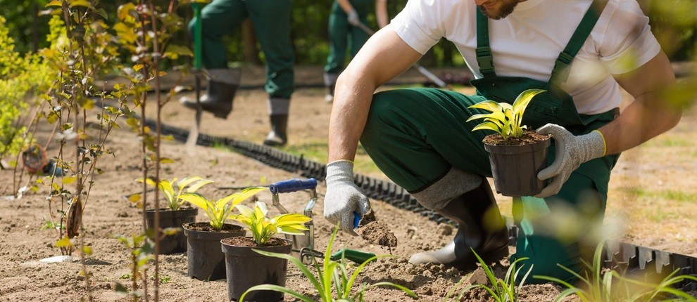 Formation Gestes et postures pour agent d'entretien d'espaces verts/jardinier