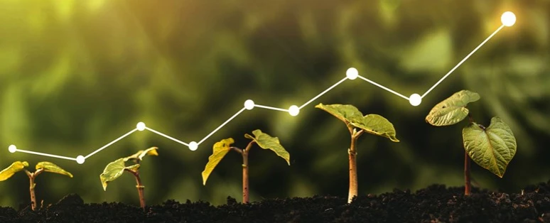 Formation RSE : Responsabilité sociétale et environnementale
