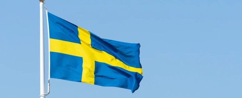 Formation Suédois professionnel