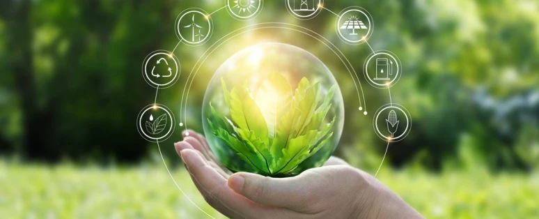 Formation Développement durable en entreprise