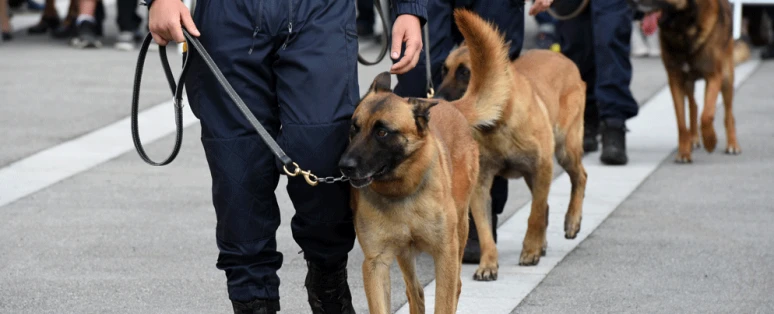 Formation Prévention de la menace attentat
