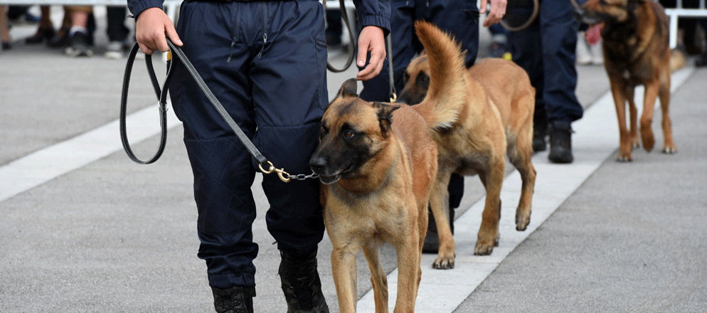 Formation Prévention de la menace attentat