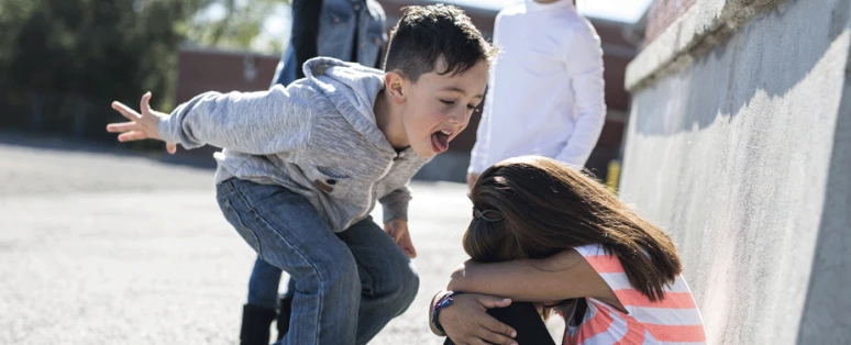 Formation Harcèlement en milieu scolaire