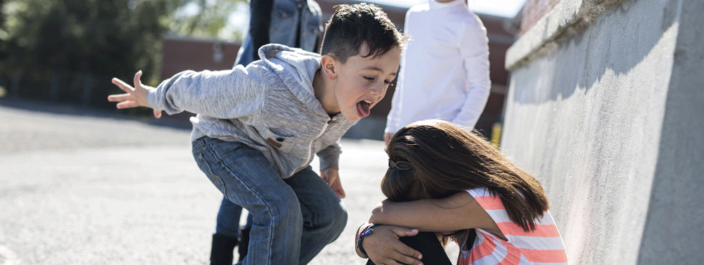 Formation Harcèlement en milieu scolaire