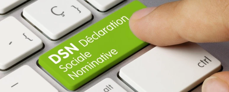 Formation Maîtriser la Déclaration Sociale Nominative (DSN)