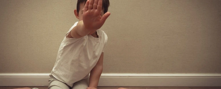 Formation Organisation de la protection de l'enfance