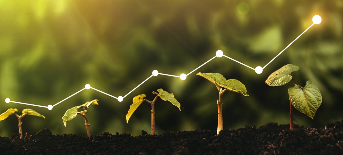 Formation Développement durable sur mesure