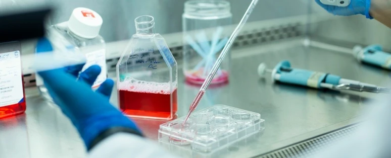 Formation GC / MS : Utilisation et diagnostic des anomalies