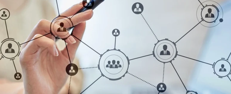 Formation Management organisationnel