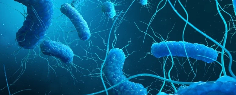 Formation Maîtrise du risque légionelle dans un établissement de soins / EHPAD