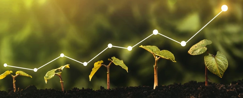 Formation Finance verte