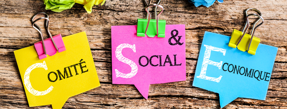 Formation Renouvellement formation CSE / CSSCT plus de 300 salariés
