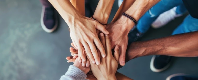 Formation Stratégie des alliés