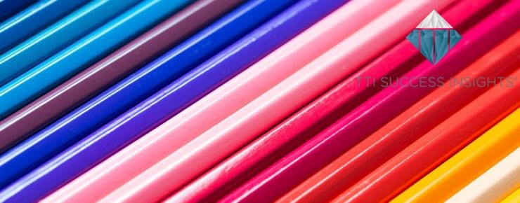 Formation Manager en couleurs avec la méthode DISC de Success Insight