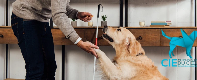 Formation Intégration d'un salarié malvoyant ou aveugle